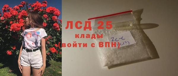 мяу мяу мука Аркадак