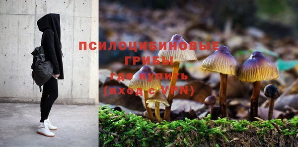 винт Арсеньев