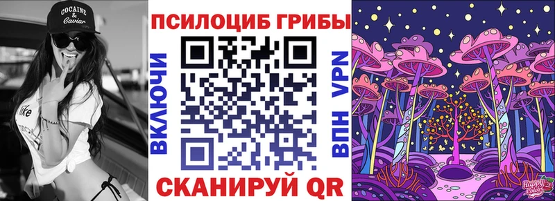 Псилоцибиновые грибы Psilocybe  закладка  кракен маркетплейс  Нарткала 
